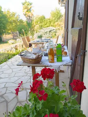Jardin de l'établissement Bet & Jac