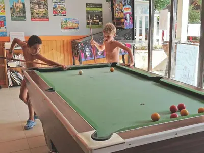 Clients de l'établissement Mobil-home confortable avec terrasse pour 6 personnes - API-1-52-647