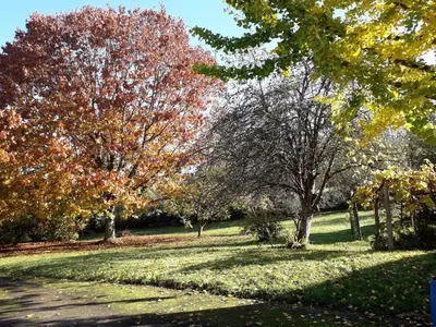 Jardin de l'établissement Edredons et champignons