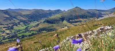 Paysage naturel près de la maison de vacances