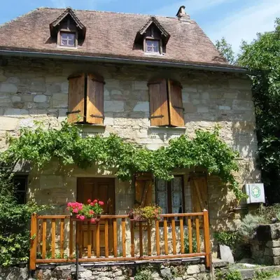 Le Figuier