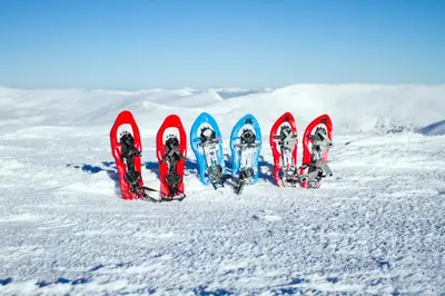 Ski au sein de la maison de vacances ou à proximité