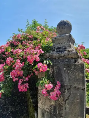 Jardin de l'établissement La Maison de Famille