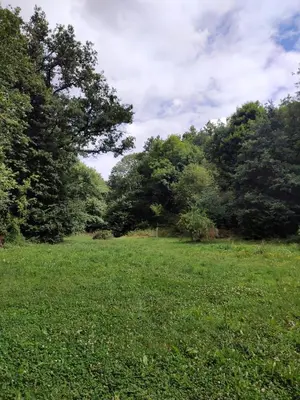 Paysage naturel près de la maison de vacances