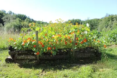 Jardin de l'établissement Ter'lenn