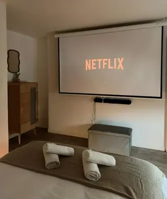 Télévision ou salle de divertissement dans l'établissement T1 calme et confort Avenue Garibaldi - DABNB