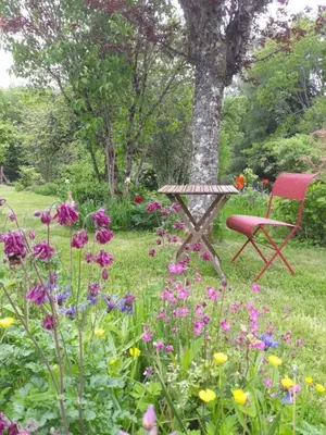 Jardin de l'établissement Villa Rosa