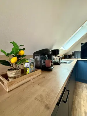 Cuisine ou kitchenette dans l'établissement Appartement lumineux 4 personnes, Puy Mary