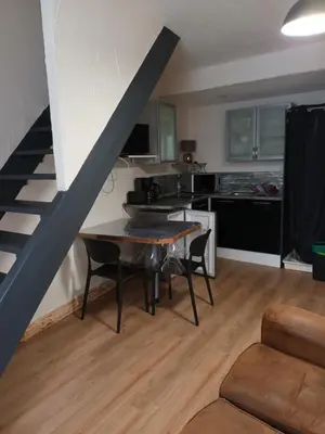 Coin salon dans l'établissement le nid des choups le petit duplex1