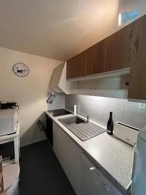 Cuisine ou kitchenette dans l'établissement Loue appartement au Mont Dore AUVERGNE