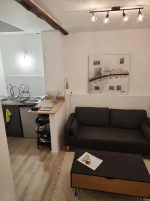 Cuisine ou kitchenette dans l'établissement Appartement 2 pièces a 5 min du centre de Limoges