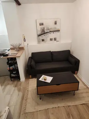 Coin salon dans l'établissement Appartement 2 pièces a 5 min du centre de Limoges