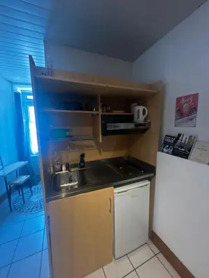 Cuisine ou kitchenette dans l'établissement Petit studio centre mont dore