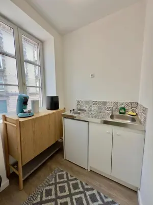 Cuisine ou kitchenette dans l'établissement Studio 3 chaleureux Av Garibaldi DABNB