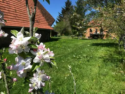 Jardin de l'établissement The Grange In Cantal