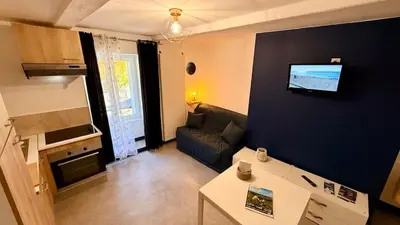 Télévision ou salle de divertissement dans l'établissement Les Cimes au cœur du Massif du Sancy
