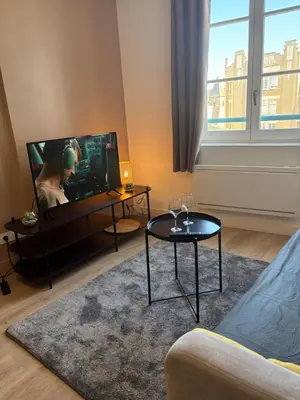 Télévision ou salle de divertissement dans l'établissement Le Pavillon - Hyper centre - charme rénové