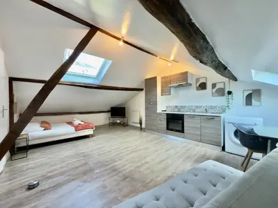 Cuisine ou kitchenette dans l'établissement Studio 12 charmant Av Garibaldi - DABNB