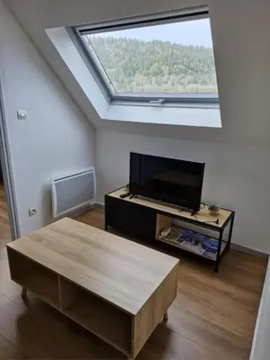 Télévision ou salle de divertissement dans l'établissement Villa Les Airelles