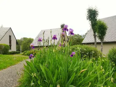 Jardin de l'établissement Rivière et Lodge 4 étoiles - Auvergne - Cantal SU