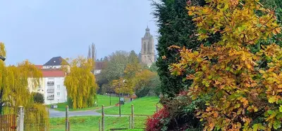 Jardin de l'établissement Alphonse