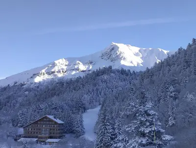 Vue générale sur la montagne ou vue sur la montagne depuis l'appartement