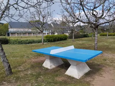 Tennis de table au sein de l'établissement Appartement vue riviere ou à proximité