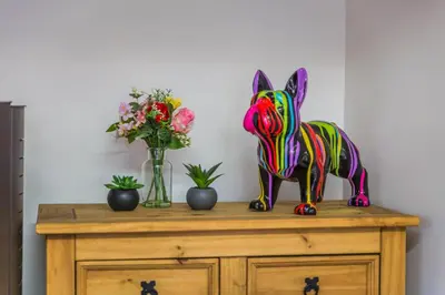 Animaux dans la villa ou à proximité