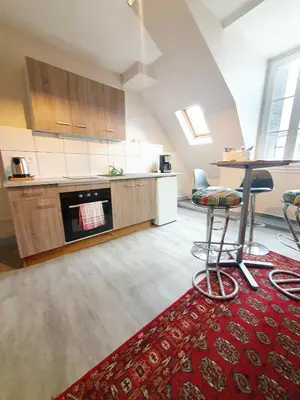 Cuisine ou kitchenette dans l'établissement Appartement d'Artiste