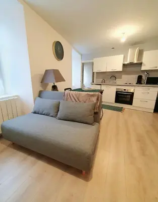 Cuisine ou kitchenette dans l'établissement Appartement Saint Martin