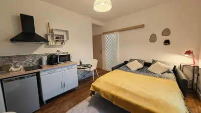 Cuisine ou kitchenette dans l'établissement Le studio de cercle 3