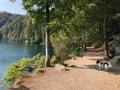 Paysage naturel près de la maison de vacances