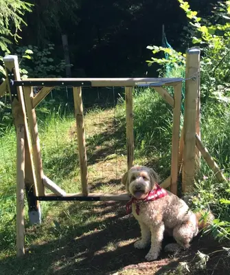 Animal ou animaux domestique(s) séjournant avec des clients dans l'établissement Maison van Stijn, Gîte les 3 Etoiles d'Auvergne