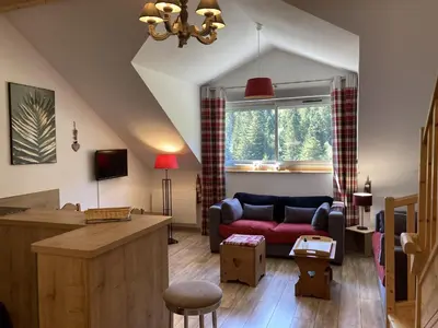 Coin salon dans l'établissement T2 avec vue sur les montagnes et wifi