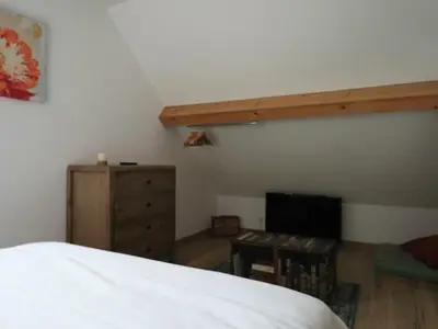 Télévision ou salle de divertissement dans l'établissement Maison neuve 4* au Mont Dore pour 6 personnes - FR-1-858-5