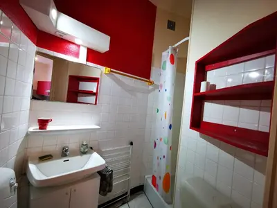 Salle de bains dans l'établissement Studio Les Coquelicots n°1 avec Wi-Fi - La Bourboule - FR-1-858-20