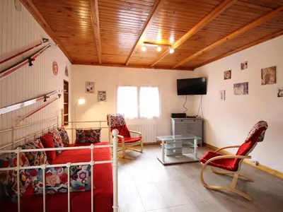Télévision ou salle de divertissement dans l'établissement LE MONT-DORE Appartement 10 couchages avec WIFI, animaux admis - FR-1-415-166