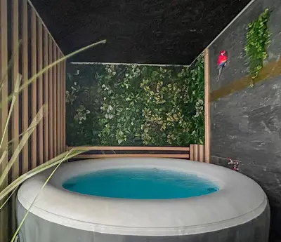 Plan de l'établissement T2 rénové avec terrasse, spa et charme central