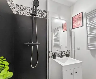 Salle de bains dans l'établissement T2 rénové avec terrasse, spa et charme central