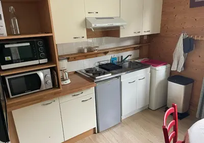 Cuisine ou kitchenette dans l'établissement Agréable appartement au coeur du Mont-dore