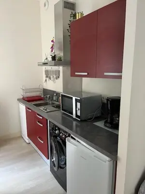 Cuisine ou kitchenette dans l'établissement STUDIO Centre Ville MONT DORE