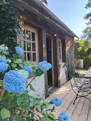 Jardin de l'établissement Gîte familial le Puy des Druides