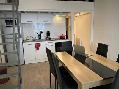 Cuisine ou kitchenette dans l'établissement Appartement triple dans le centre de Limoges