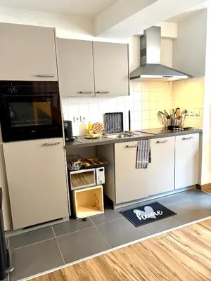 Cuisine ou kitchenette dans l'établissement Le Saint Michel-Duplex-Hyper centre