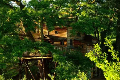 Jardin de l'établissement Cabane de la Margo