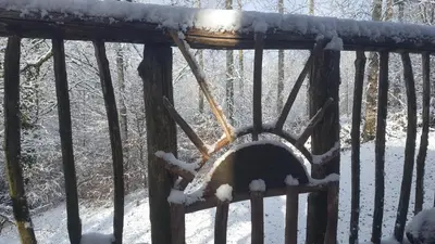 L'établissement Cabane de la Margo en hiver