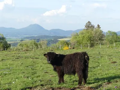 Vue générale sur la montagne ou vue sur la montagne depuis l'appartement