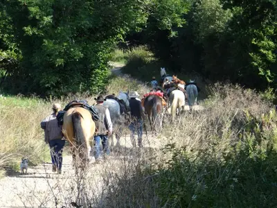 Clients de l'établissement Les Cinq Chemins, Etape et Séjour inclusif au coeur des Volcans d'Auvergne