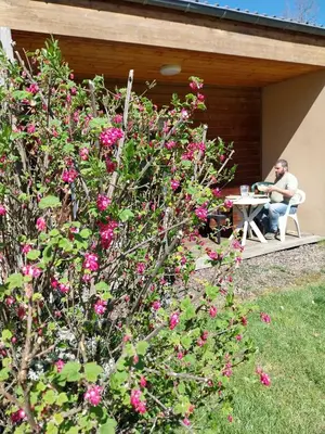 Jardin de l'établissement Les Cinq Chemins, Etape et Séjour inclusif au coeur des Volcans d'Auvergne