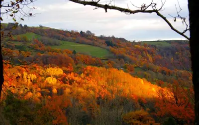 Paysage naturel près de la maison de vacances